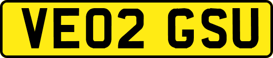 VE02GSU