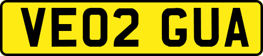 VE02GUA