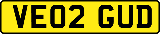 VE02GUD