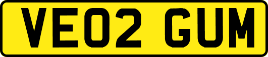 VE02GUM