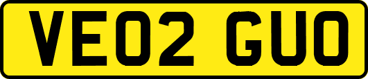 VE02GUO