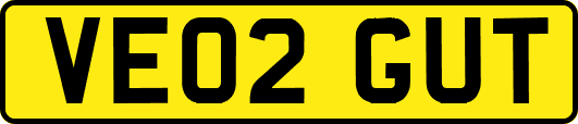 VE02GUT