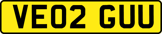 VE02GUU
