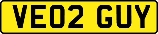 VE02GUY