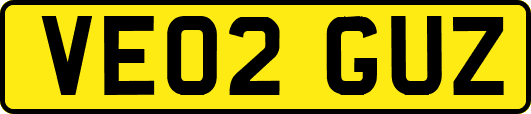 VE02GUZ