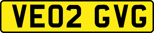 VE02GVG