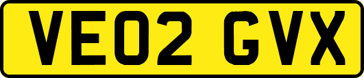 VE02GVX