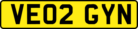 VE02GYN