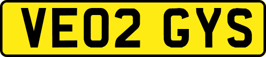 VE02GYS