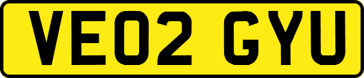 VE02GYU