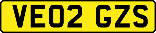 VE02GZS