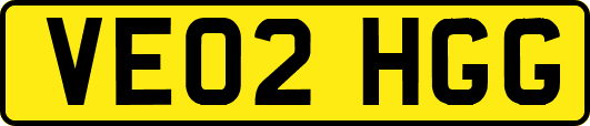 VE02HGG
