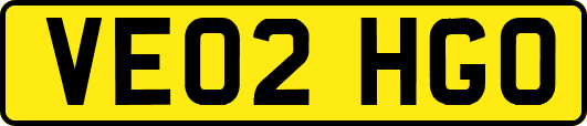 VE02HGO