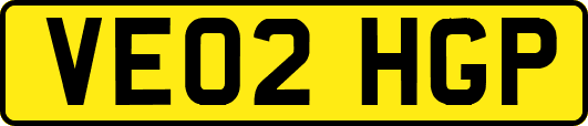 VE02HGP