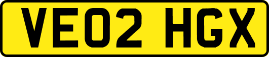 VE02HGX