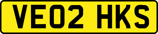 VE02HKS
