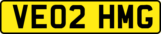 VE02HMG