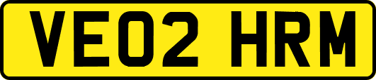 VE02HRM