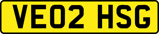 VE02HSG