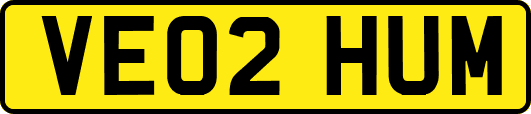 VE02HUM
