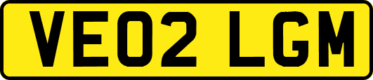 VE02LGM