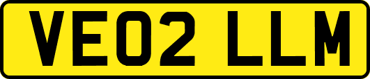VE02LLM