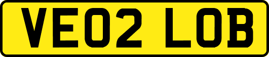 VE02LOB