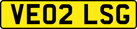VE02LSG