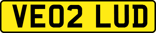 VE02LUD