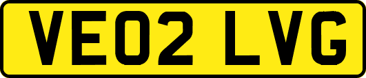 VE02LVG