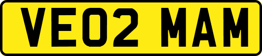 VE02MAM