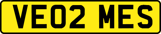 VE02MES