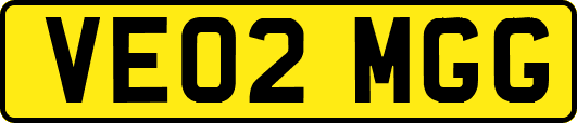VE02MGG