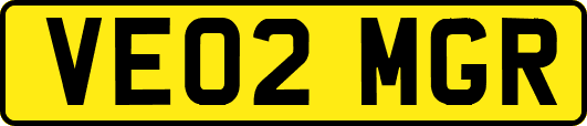 VE02MGR