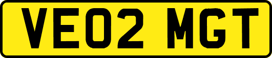 VE02MGT