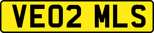 VE02MLS