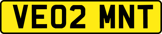VE02MNT