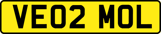 VE02MOL