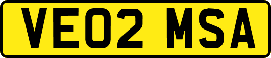VE02MSA