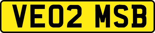 VE02MSB
