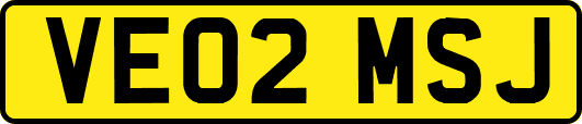 VE02MSJ