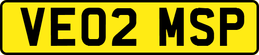 VE02MSP