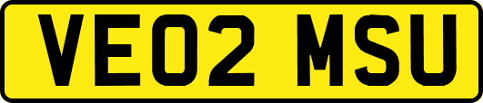 VE02MSU