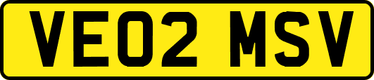 VE02MSV