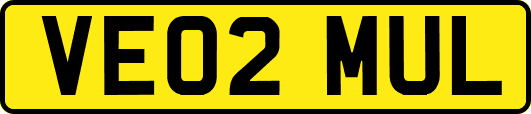 VE02MUL