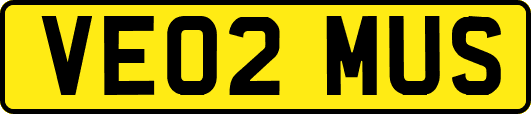 VE02MUS
