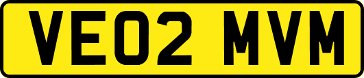 VE02MVM