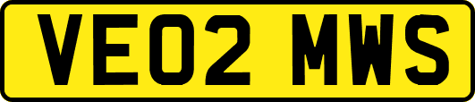 VE02MWS