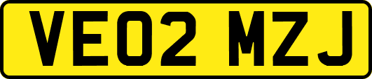 VE02MZJ