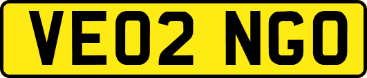 VE02NGO